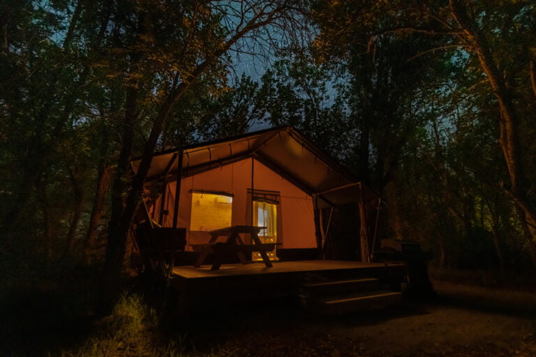 Tent Accommodation in the woods with a sky full of stars