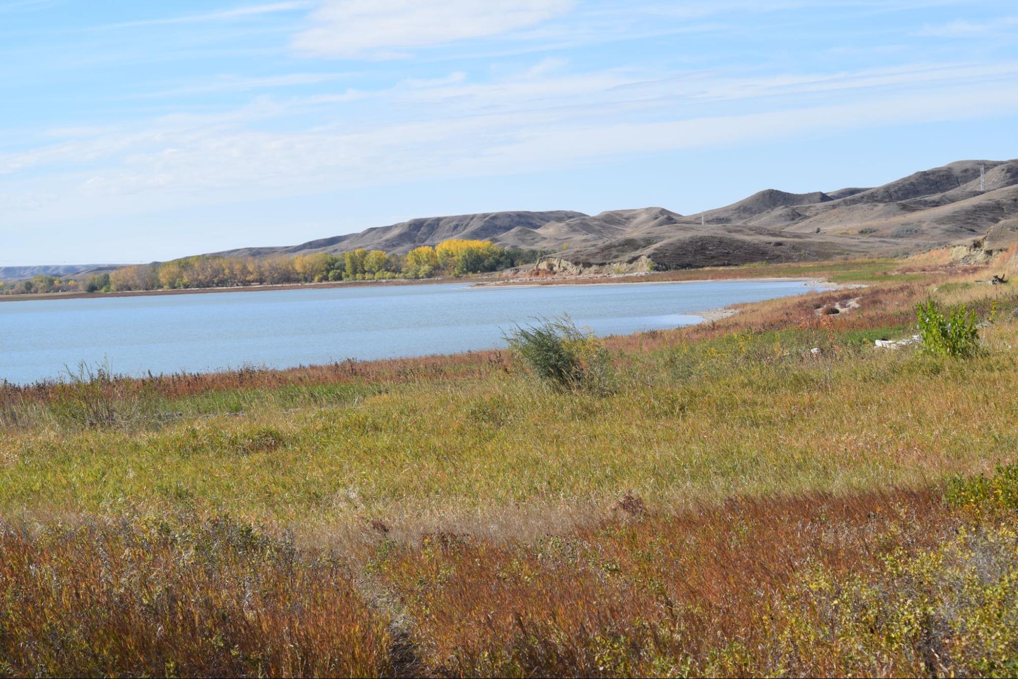 Landscape of lakeside glamping