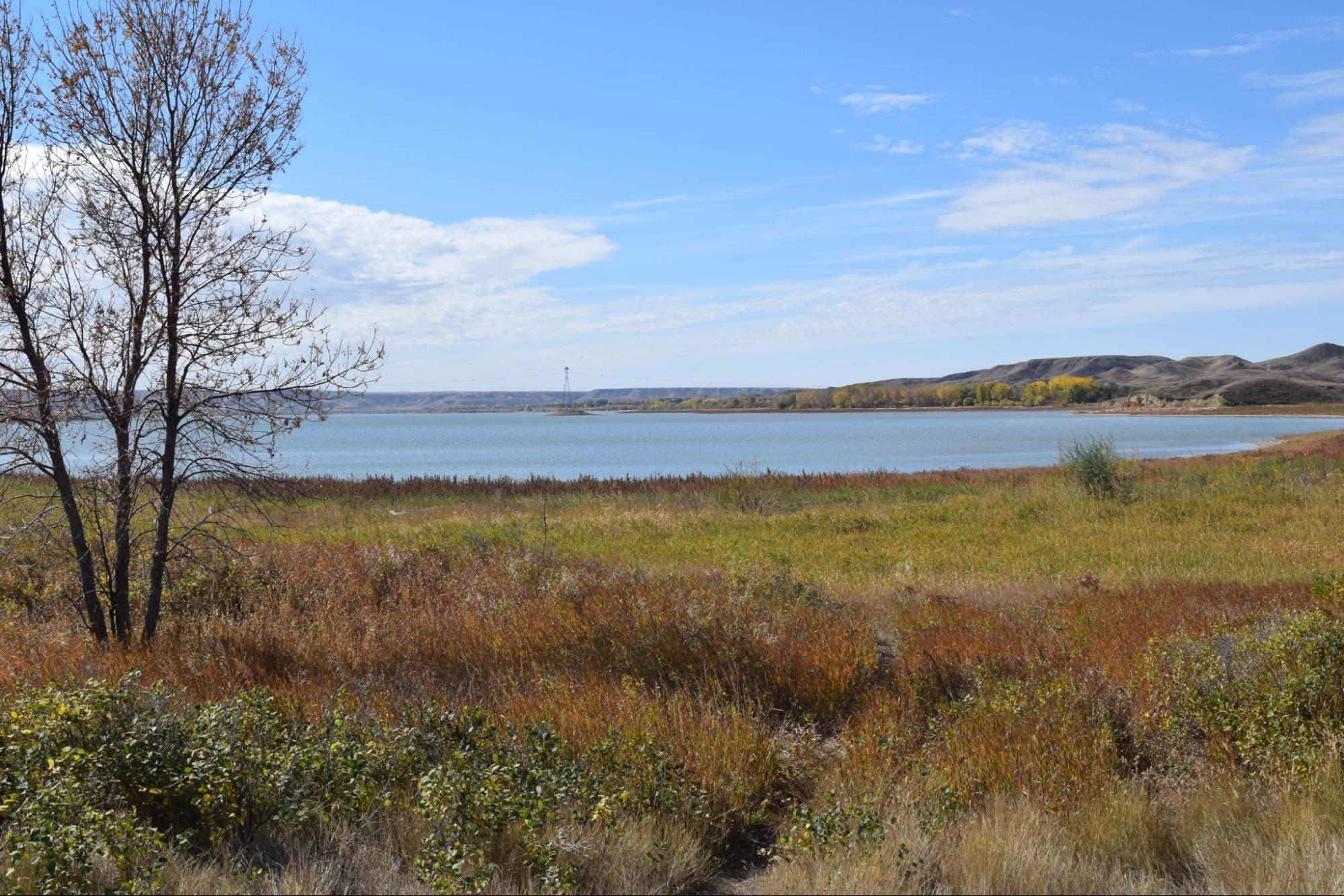 A lakeside with green grasses beside is perfect for your serene summer glamping.