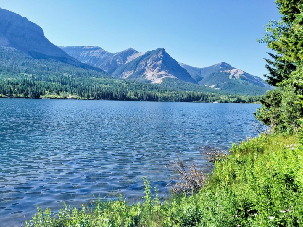 A sea and vibrant mountain where you can enjoy the natural beauty for an enchanting birdwatching glamping trip.